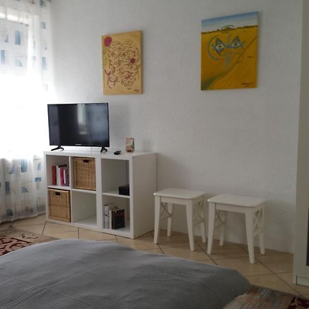 Moderne Wohnung In Barockem Altstadthaus Nahe Altstadt Und Radweg Blieskastel Zewnętrze zdjęcie