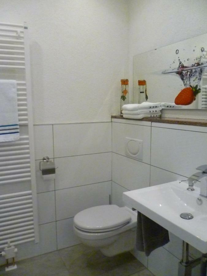 Moderne Wohnung In Barockem Altstadthaus Nahe Altstadt Und Radweg Blieskastel Zewnętrze zdjęcie