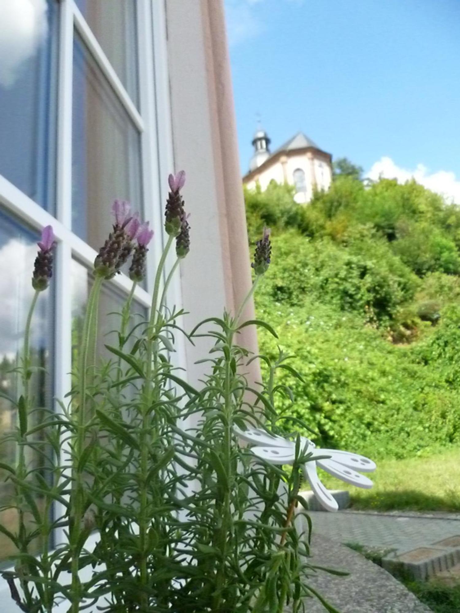 Moderne Wohnung In Barockem Altstadthaus Nahe Altstadt Und Radweg Blieskastel Zewnętrze zdjęcie