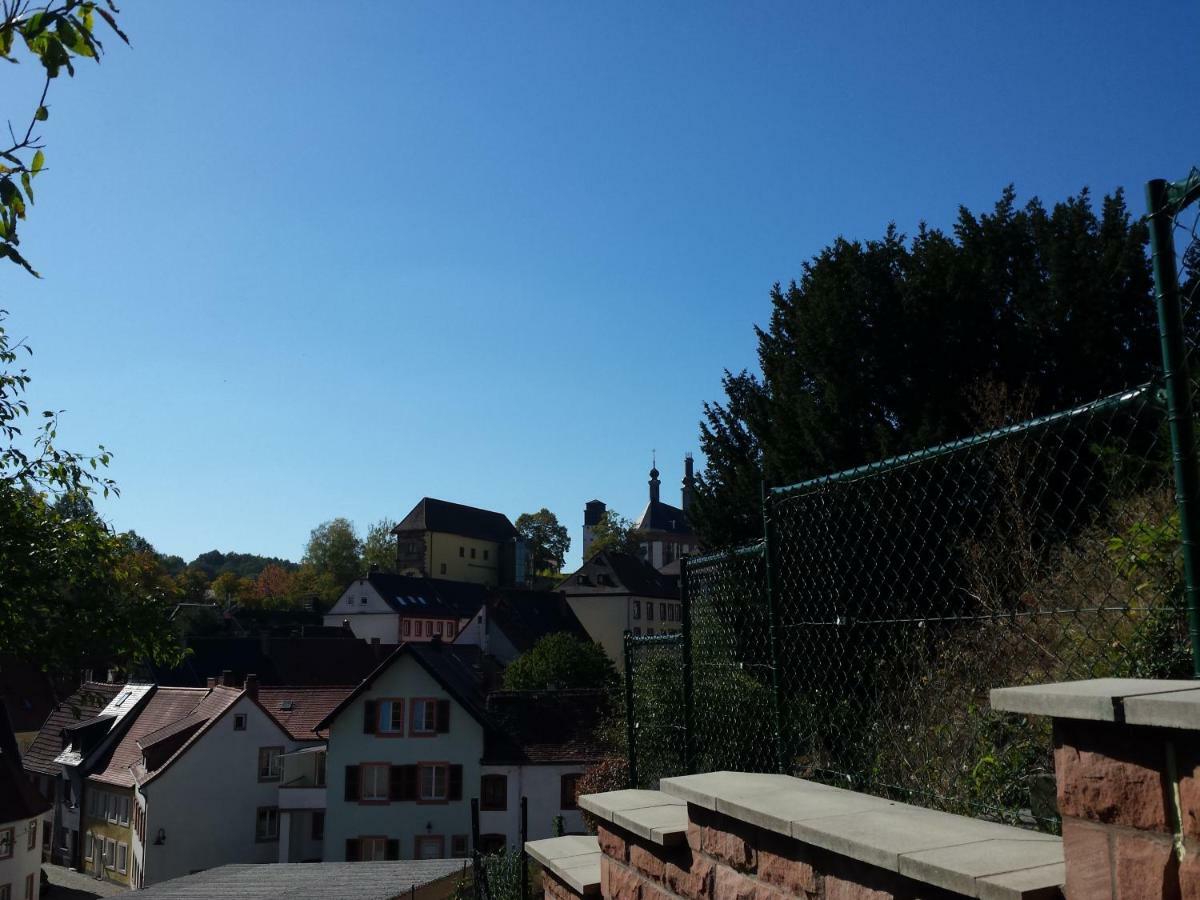 Moderne Wohnung In Barockem Altstadthaus Nahe Altstadt Und Radweg Blieskastel Zewnętrze zdjęcie