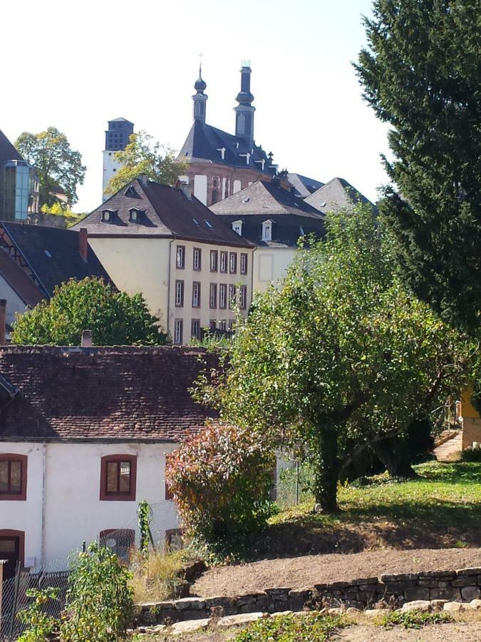 Moderne Wohnung In Barockem Altstadthaus Nahe Altstadt Und Radweg Blieskastel Zewnętrze zdjęcie