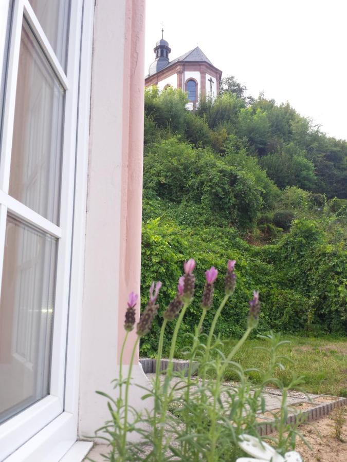 Moderne Wohnung In Barockem Altstadthaus Nahe Altstadt Und Radweg Blieskastel Zewnętrze zdjęcie